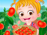 بيبي هازل مزرعة الطماطم